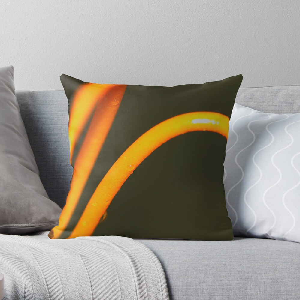 Styles Throw Pillow