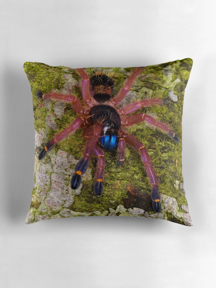 giant tarantula pillow