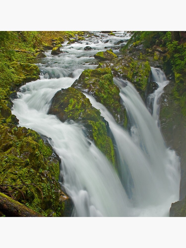 Sol Duc in the Mist by LumenLux