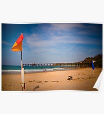 Swim Between the Flags Poster