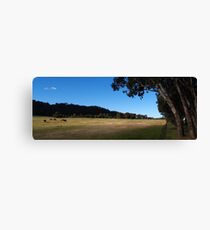 Riverina Canvas Print