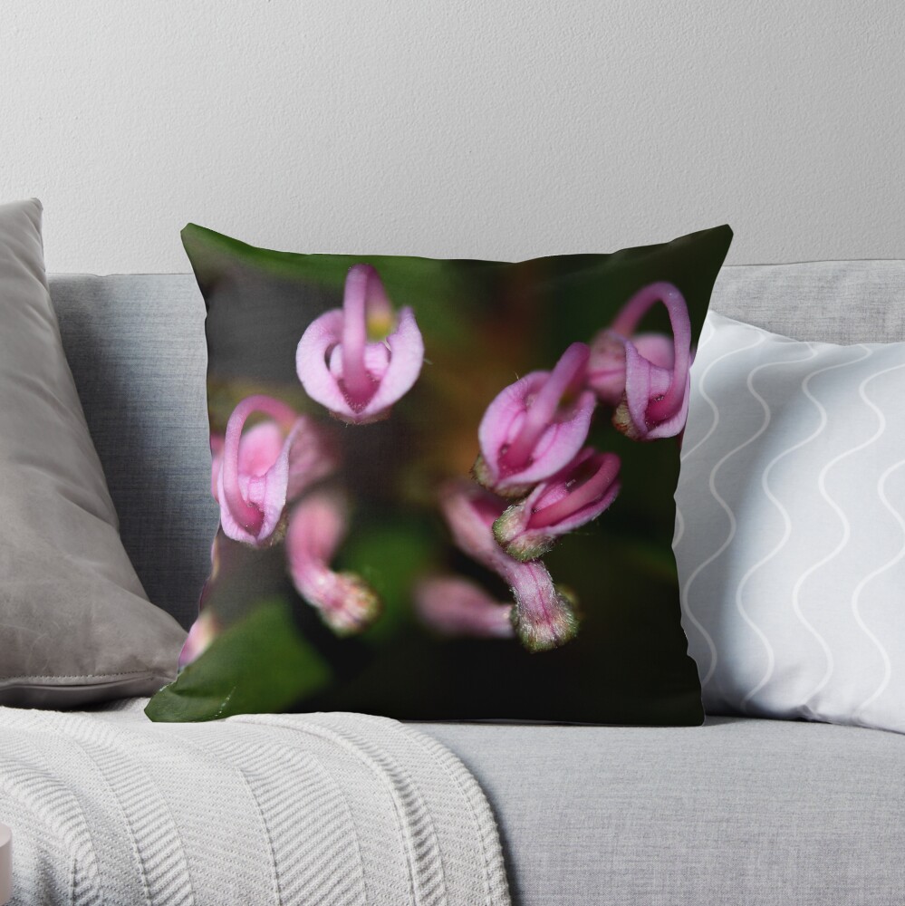 Grevillea humilis subsp. humilis Throw Pillow