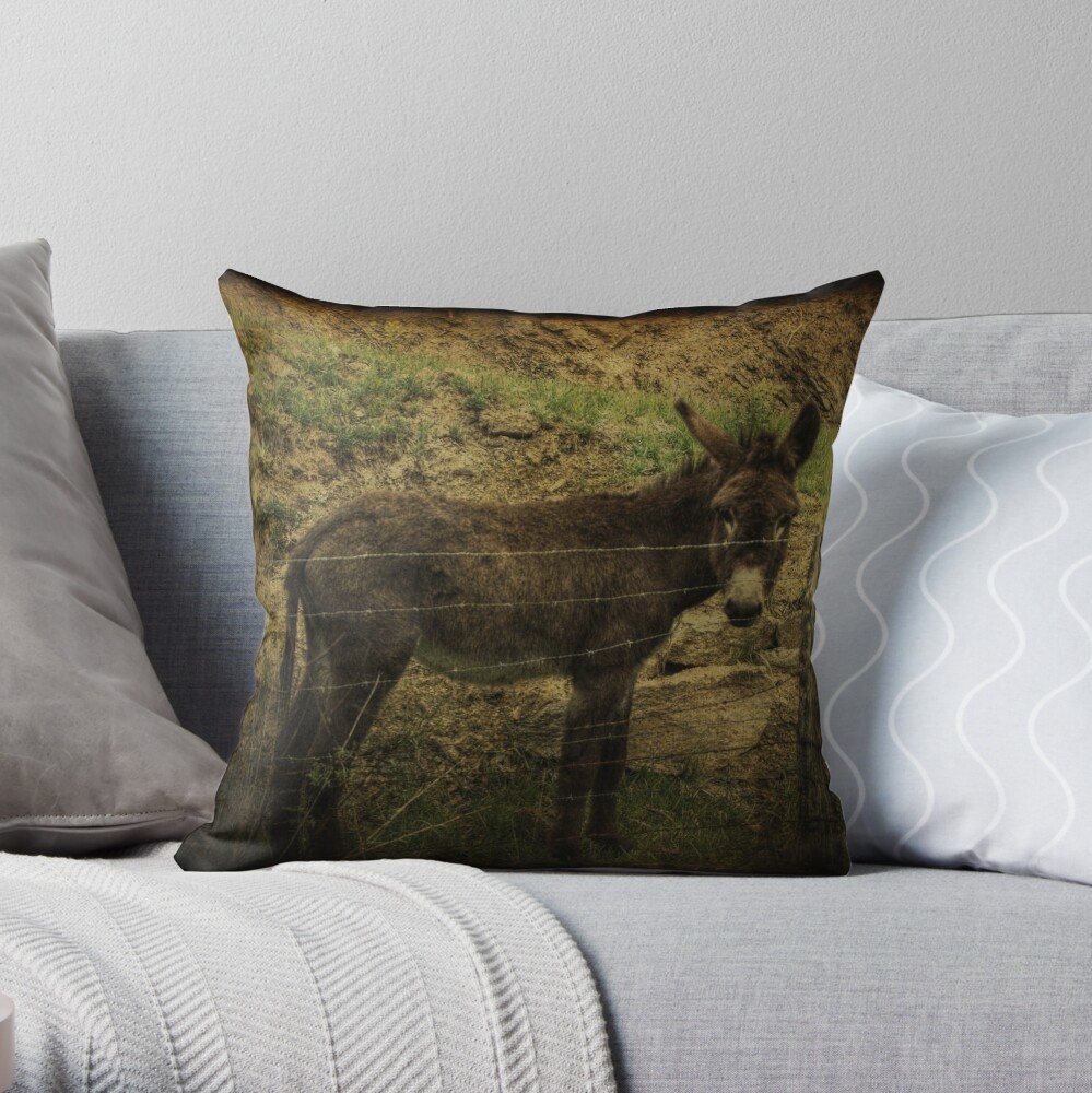 If Not For the Barbed Wire Fence Throw Pillow
