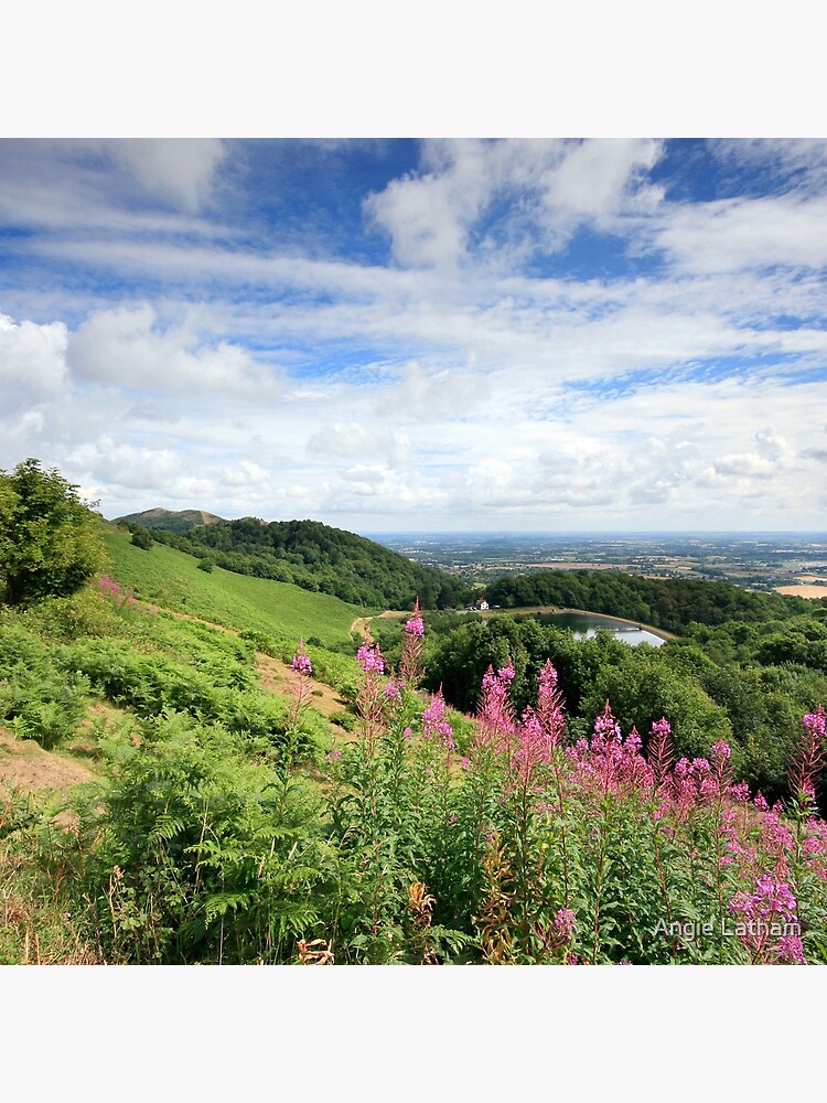 Malvern Hills : Glorious Summer by AngelaBarnett