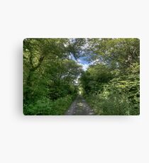 Rural Irish Road Canvas Print