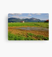 Wetlands. 01. Canvas Print