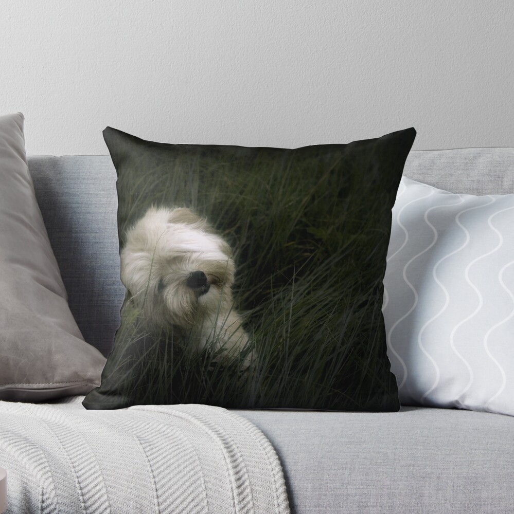Happy Birthday Gizmo Throw Pillow
