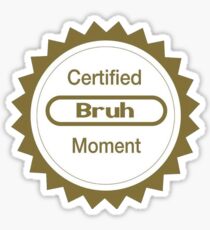 Certified bruh moment Sticker