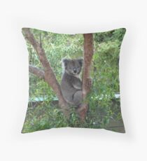 koala travel pillow