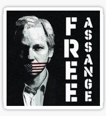 free assange shirt