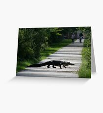 Gator Bait Greeting Card