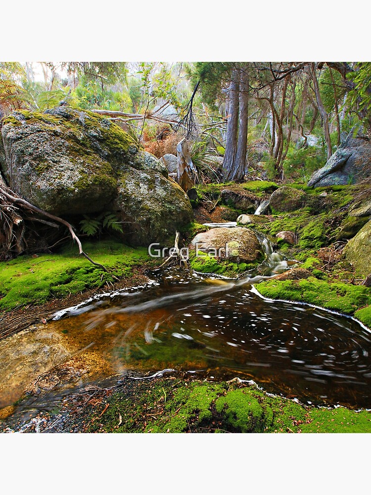 Rockpool - Flinders Island by GregEarl
