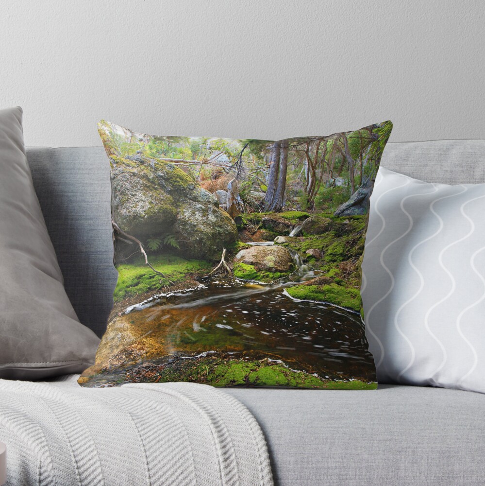 Rockpool - Flinders Island Throw Pillow