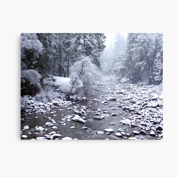 Winter in Yosemite Canvas Print