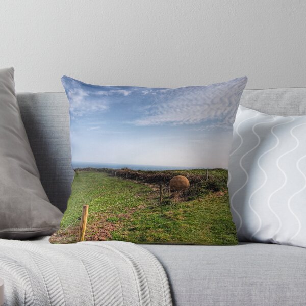 An "Alderney Stone" - Andy Goldsworthy Throw Pillow