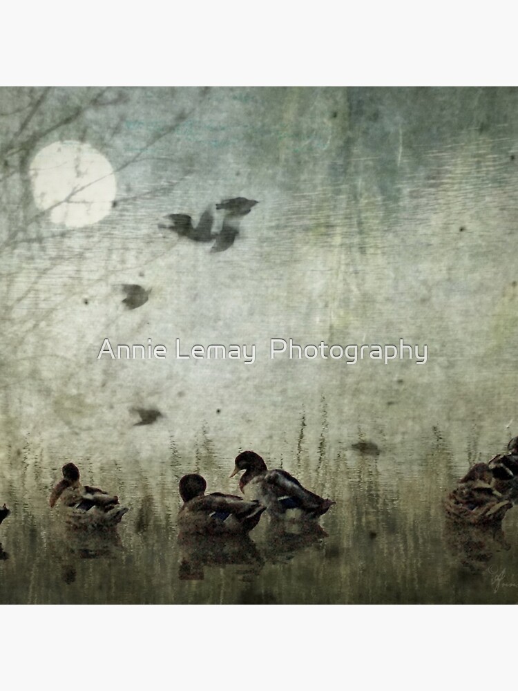Serenity by ajlphotography