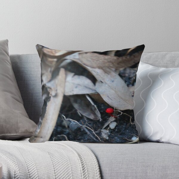 Identification asked Throw Pillow