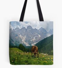 Bolsa de tela Paneveggio in the Dolomites