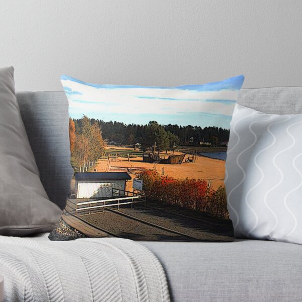 "Shipwreck - Skelleftea, Vasterbottens Lan, Sweden" Throw Pillow