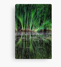 Green Mirror Canvas Print