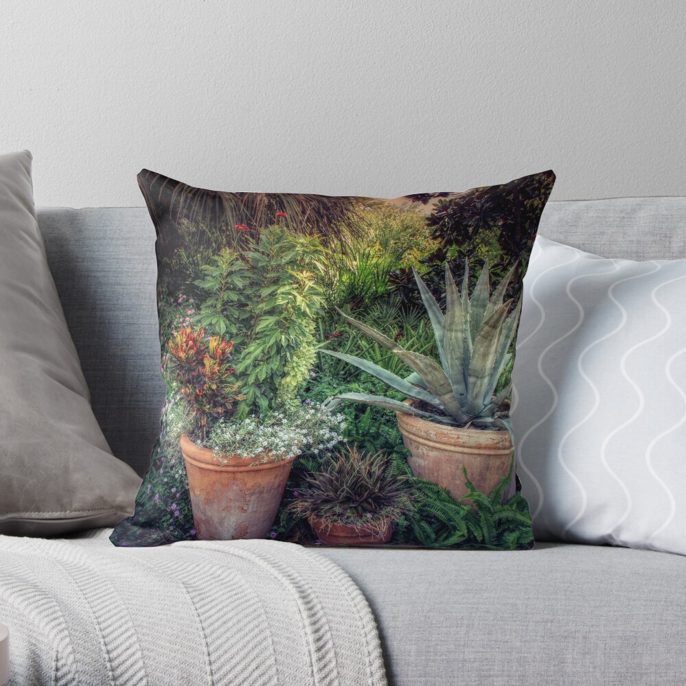 Terra Cotta Trio at Sunset Throw Pillow