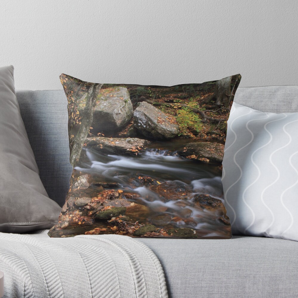 All Things Merge Into One Throw Pillow