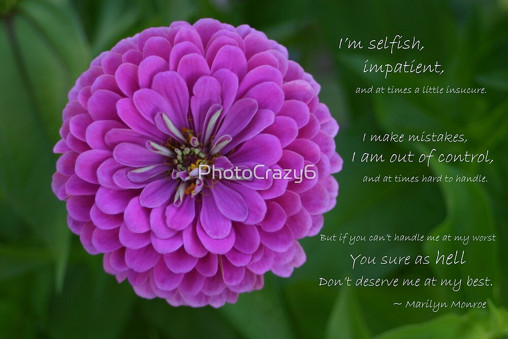 "Purple Zinnia Flower with Marilyn Monroe quote" by PhotoCrazy6 | Redbubble