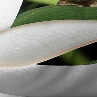 Alternate view of Hello Frog Throw Pillow