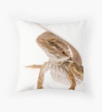 bearded dragon pillow