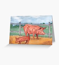 Tamworth Pigs Greeting Card