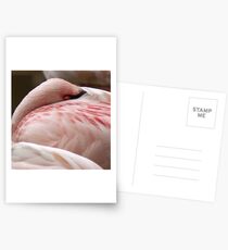 Flamingoozzzzzzzzzzzzzzzz Postcards