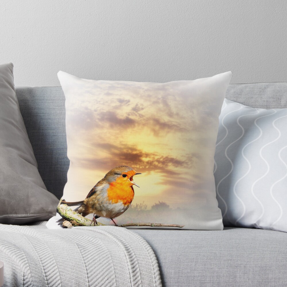 Robin At Sunset Throw Pillow