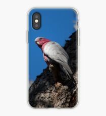 Pink and Grey iPhone Case