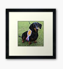 Dachshund Dash Winner 2010 Framed Print