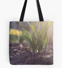Spring Tote Bag