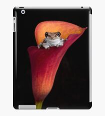 Cute Frog iPad Case/Skin