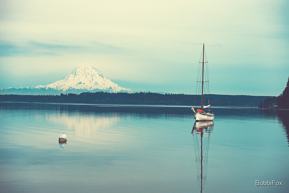 sailboat for sale washington craigslist