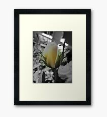 Born Framed Print