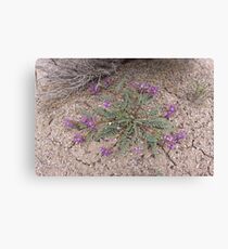 Clinging to the Earth Canvas Print