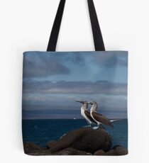 Blue Footed Boobies Tote Bag