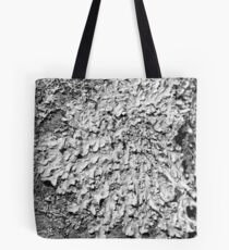Pareidolia Tote Bag