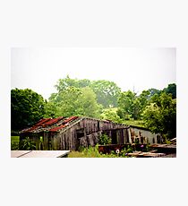 AT THE PIG FARM Photographic Print