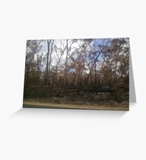 Woodside ~ Black Saturday Greeting Card