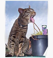 Mr Fudge says blah ! Poster