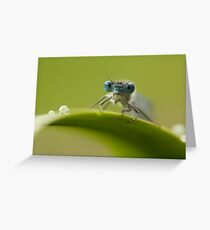 Big blue eyes Greeting Card