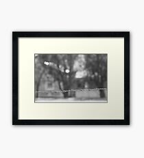 Protection Framed Print