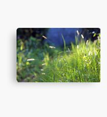 its happy when its green Canvas Print