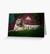 Sumartrian White Tiger Greeting Card