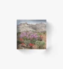 Wildflowers at Split Mountain Acrylic Block