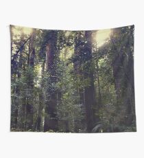 Sonnenstrahlen in den Redwoods Wandbehang